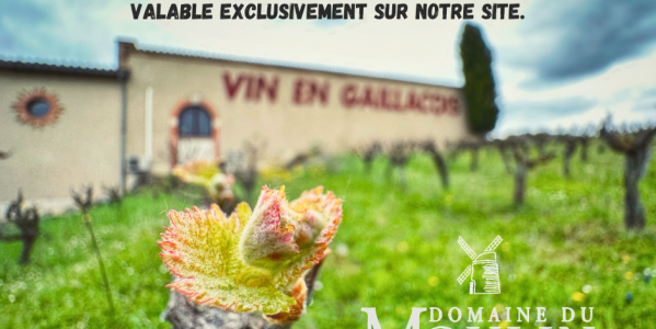Nos Offres de Printemps :   Fêtes Sublimées, Plaisirs Multipliés !